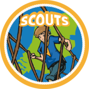 badge scouts